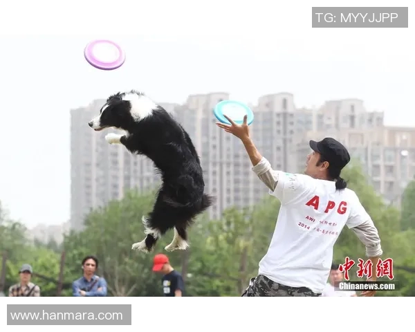 深圳飞盘队在极限运动世界杯中的辉煌征程与突破成就回顾 深圳飞盘队在极限运动世界杯中的辉煌征程与突破成就回顾