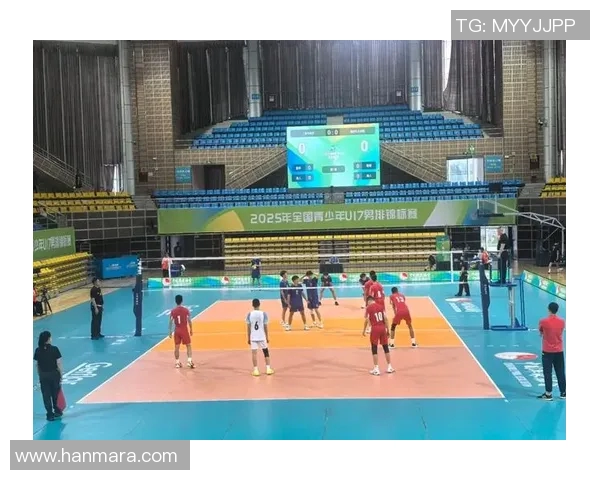 上海排球队以74分领跑欧锦赛积分榜展现强劲实力