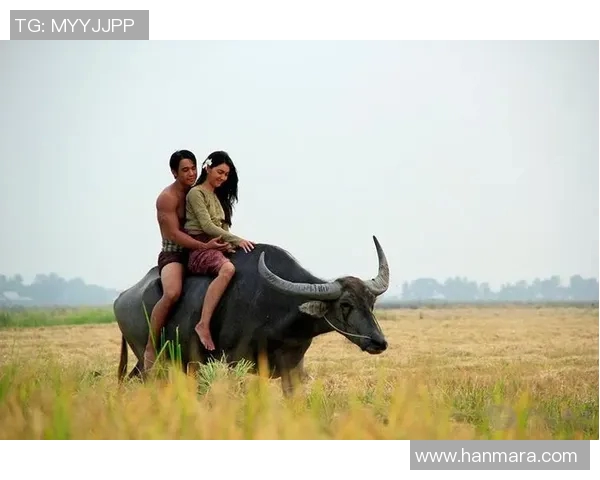 足球明星情侣携手演绎浪漫内衣广告展现甜蜜爱情与运动激情的完美结合 足球明星情侣携手演绎浪漫内衣广告展现甜蜜爱情与运动激情的完美结合